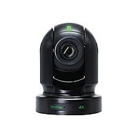 BirdDog P400 - network surveillance camera