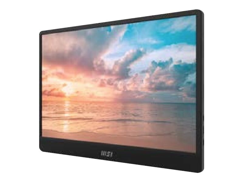 MSI Pro MP161 16" Class Full HD LCD Monitor - 16:9