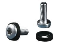 Rittal DK Multi-tooth screw M5x16 - rack screws and washers