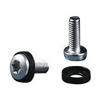 Rittal DK Multi-tooth screw M5x16 - rack screws and washers