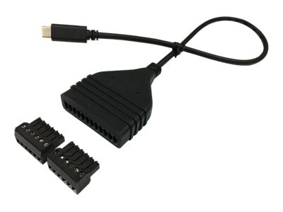 BrightSign USB C to GPIO 12-pin Cable Kit - GPIO cable - 24 pin USB-C