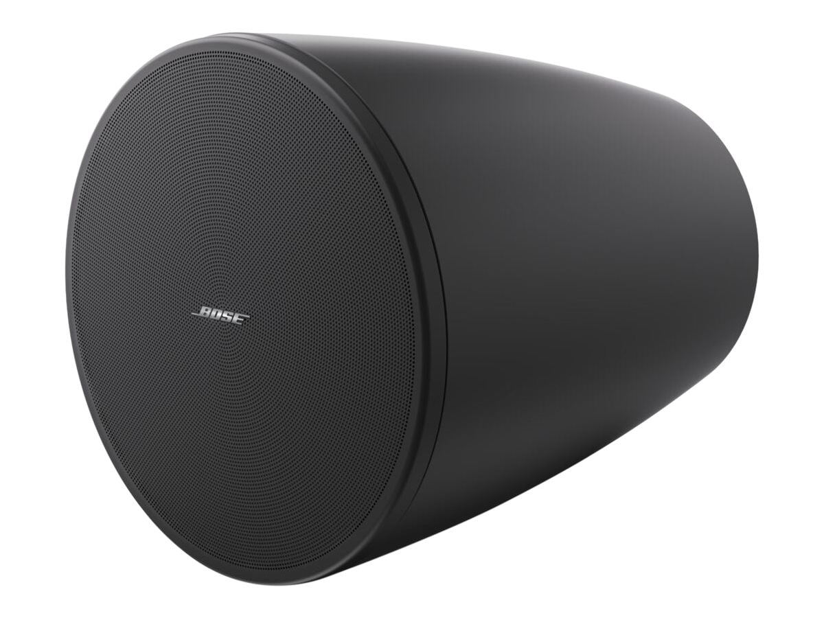 Bose DesignMax DM6PE - speaker