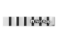 NetApp AFF C-Series AFF-C250 - NAS server - 367.2 TB