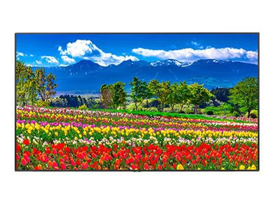 NEC MultiSync M751-AVT3 M-Series - 75" LED-backlit LCD display - 4K - for digital signage