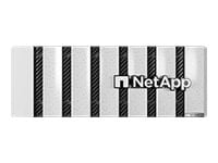 NetApp All Flash FAS AFF C400 HA - High Availability - Ethernet Kit - NAS server