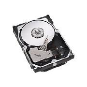 Seagate Cheetah 10K.7 - hard drive - 300 GB - Ultra320 SCSI