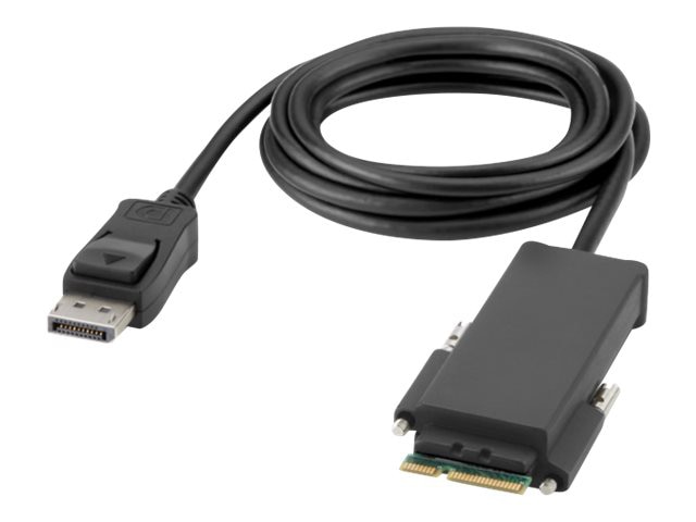 Belkin Secure Modular DP Single Head Console Cable - DisplayPort cable - Di