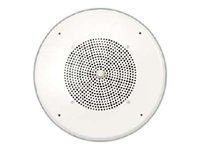 Bogen S810T725PG8WVK - speaker