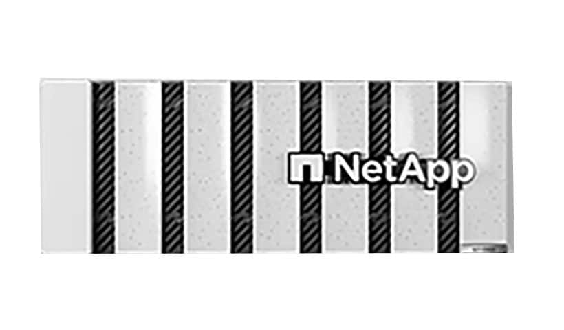 NetApp AFF-C800 High Availability All Flash Array System