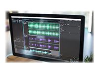 Adobe Audition Pro for enterprise - Subscription Renewal - 1 user