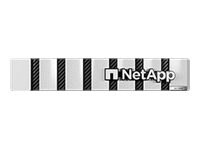 NetApp AFF C-Series AFF-C250 - serveur NAS - 122.4 To