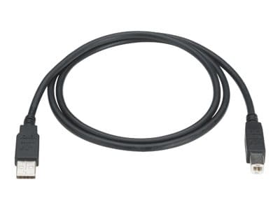 Black Box - USB cable - USB to USB Type B - 3 ft