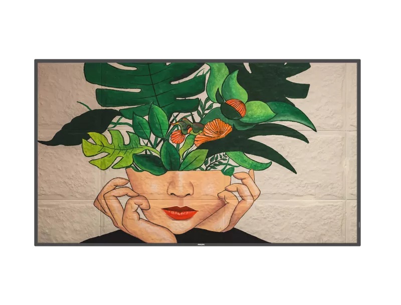 Philips D-Line 55" 4K LCD Display