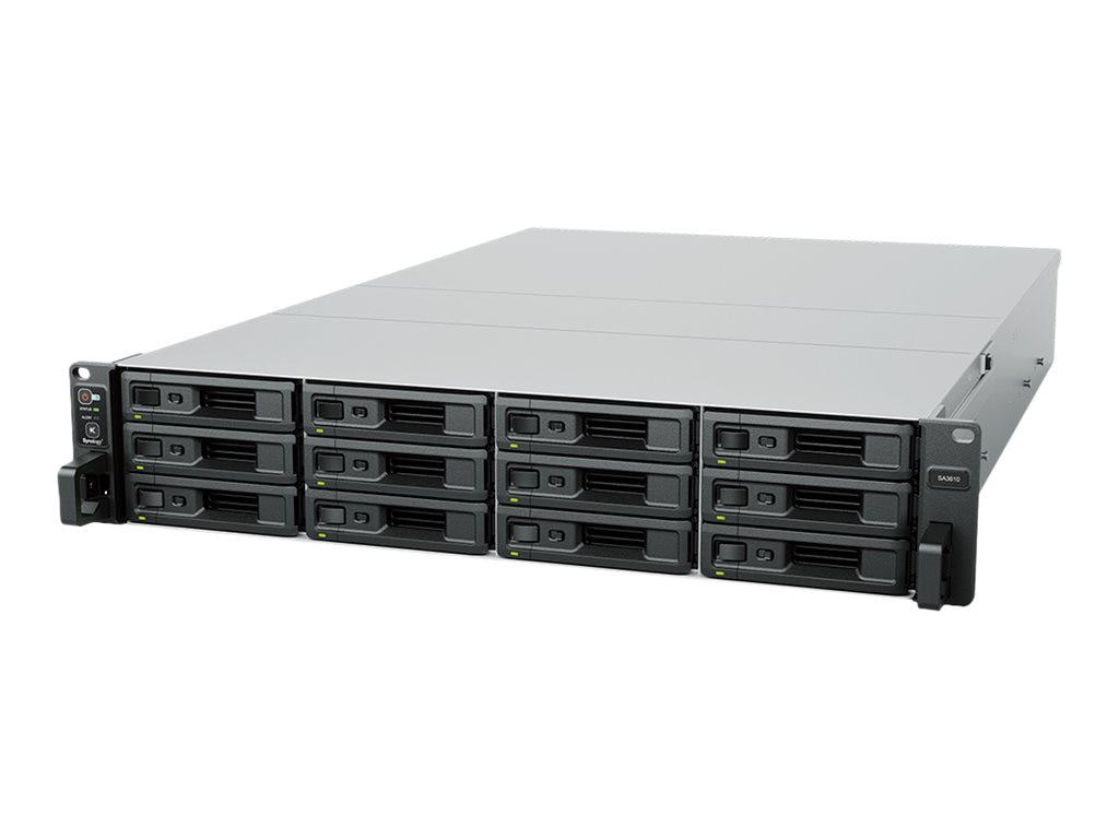 Synology SA3410 - NAS server