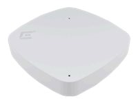 Extreme Networks AP3000 - wireless access point - ZigBee, Bluetooth, Wi-Fi 6E - cloud-managed