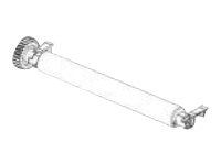 Zebra - platen roller 300 dpi