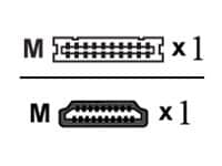 Proline adapter cable - DisplayPort / HDMI - 50 ft