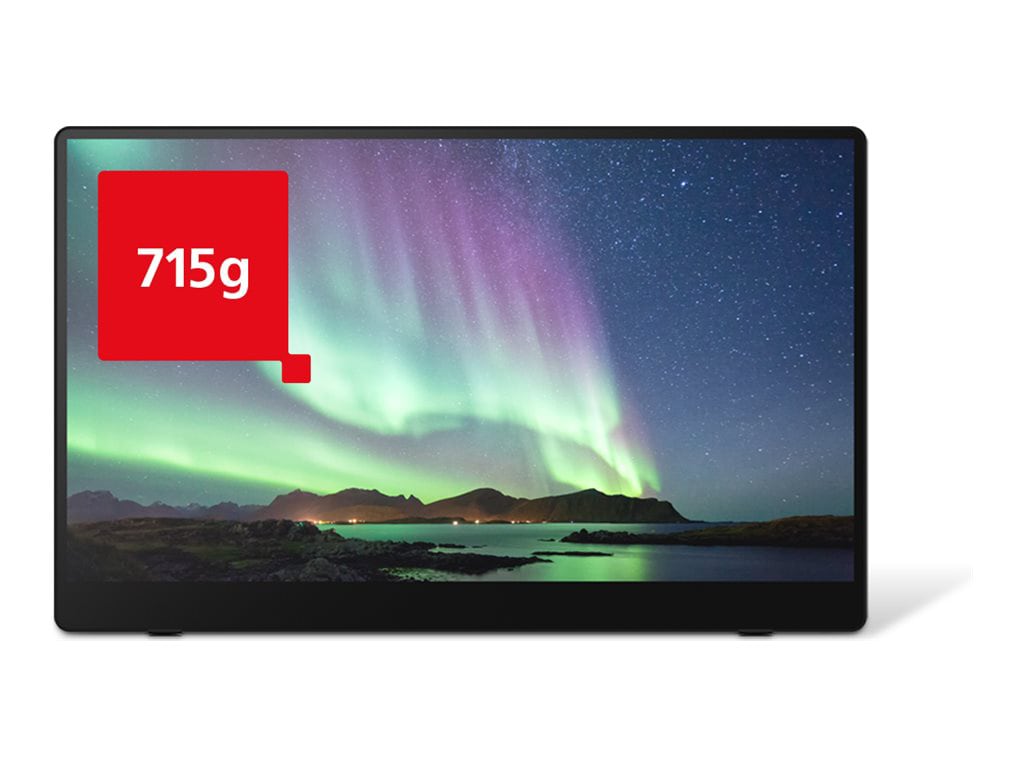Shop Ricoh Portable Monitor 150