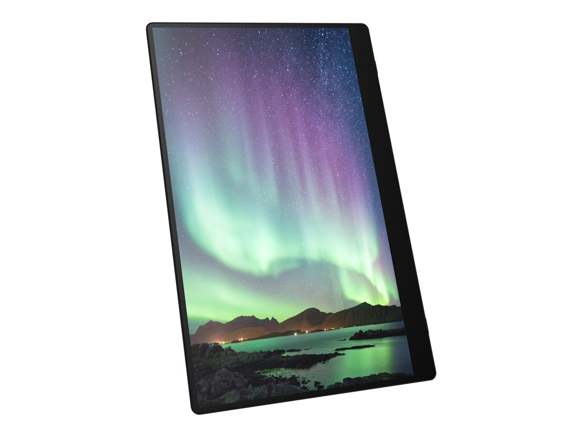 Ricoh 15.6" Portable Monitor