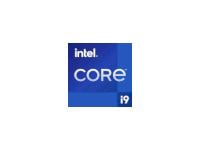 Intel Core i9 12900 / 2.4 GHz processor - Box