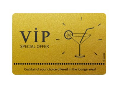 Evolis - PVC card - 100 card(s)