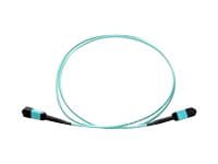 Axiom network cable - 8 m - aqua