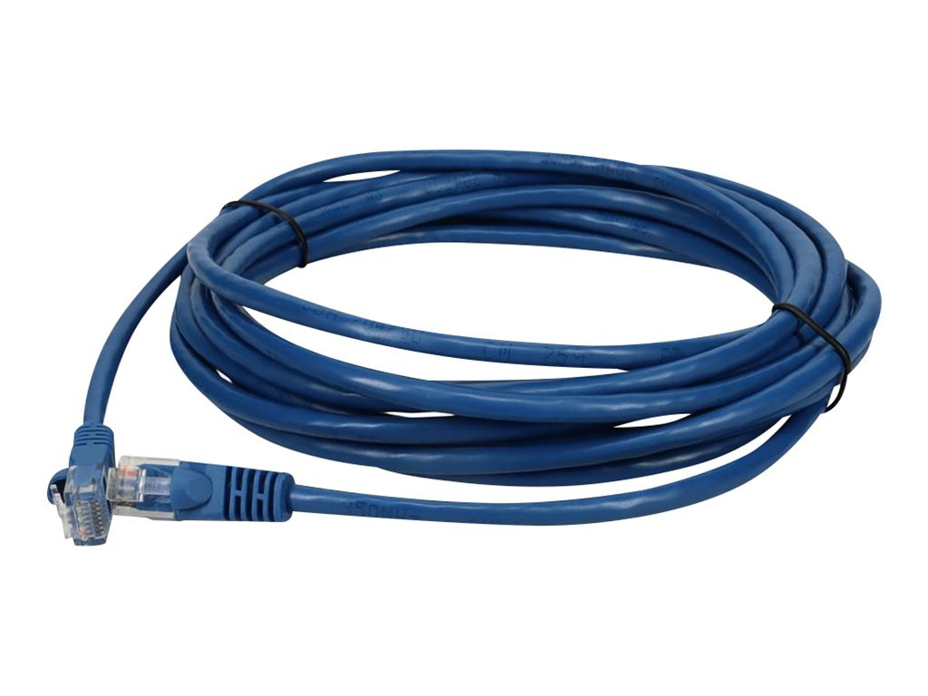 Proline patch cable - 12 ft - blue