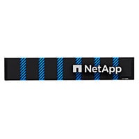 NetApp ASA A250 All-Flash Storage System with 8x1.92TB NVMe SSD
