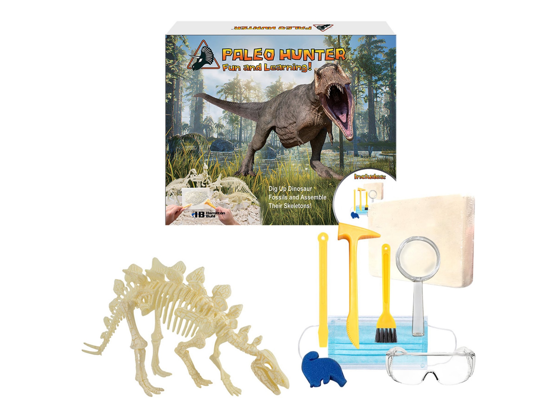 Hamilton Buhl STEAM Education - Paleo Hunter Dig Kit for Stegosaurus