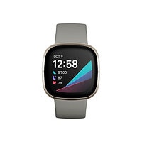 Fitbit Sense - silver stainless steel - smart watch with band - sage gray