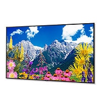 NEC 86" Ultra High Definition Professional Display with ATSC/NTSC Tuner