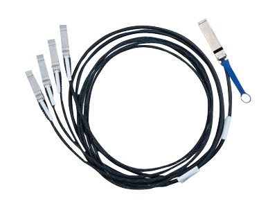 NVIDIA Hybrid Passive Copper - InfiniBand cable - 16.4 ft