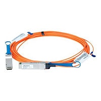 Mellanox LinkX 100Gb/s VCSEL-Based Active Optical Cables - InfiniBand cable - 15 m