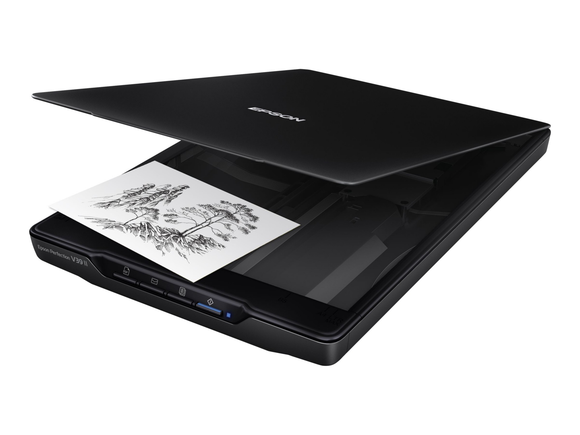 Epson Perfection V39II - flatbed scanner - desktop - USB 2.0
