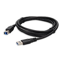 Proline - USB cable - USB Type A to USB Type B - 6 ft