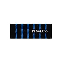 NetApp ASA A800 High-Availability All Flash SAN Storage Array System