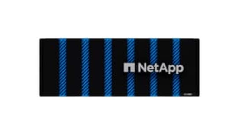NetApp ASA A800 High-Availability 100GbE All Flash SAN Storage Control Encl