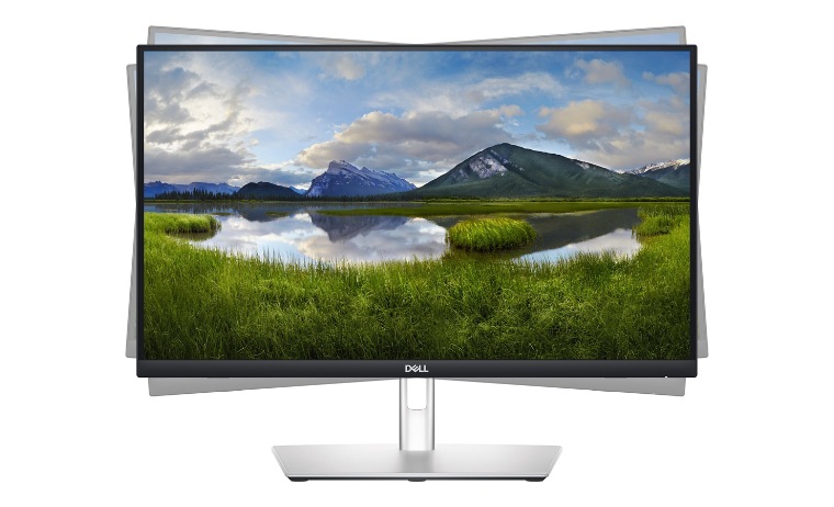 Dell P2424HT - LED monitor - 24