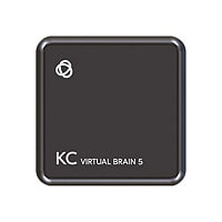 Kramer KC-Virtual Brain5 - control processor