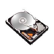Maxtor DiamondMax 10 - hard drive - 250 GB - ATA-133