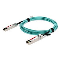 Proline 10GBase-AOC direct attach cable - TAA Compliant - 1 m