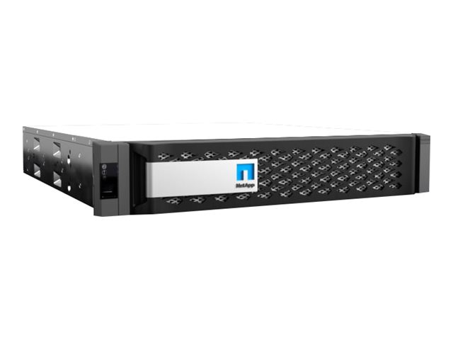 NetApp FAS2820 - NAS server