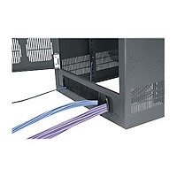 Middle Atlantic 38RU Cable Entry Rear Door for BGR Racks - cable entry rear