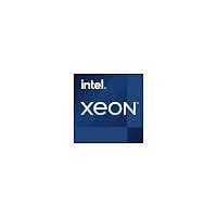 Intel Xeon W-3335 / 3.4 GHz processor - OEM