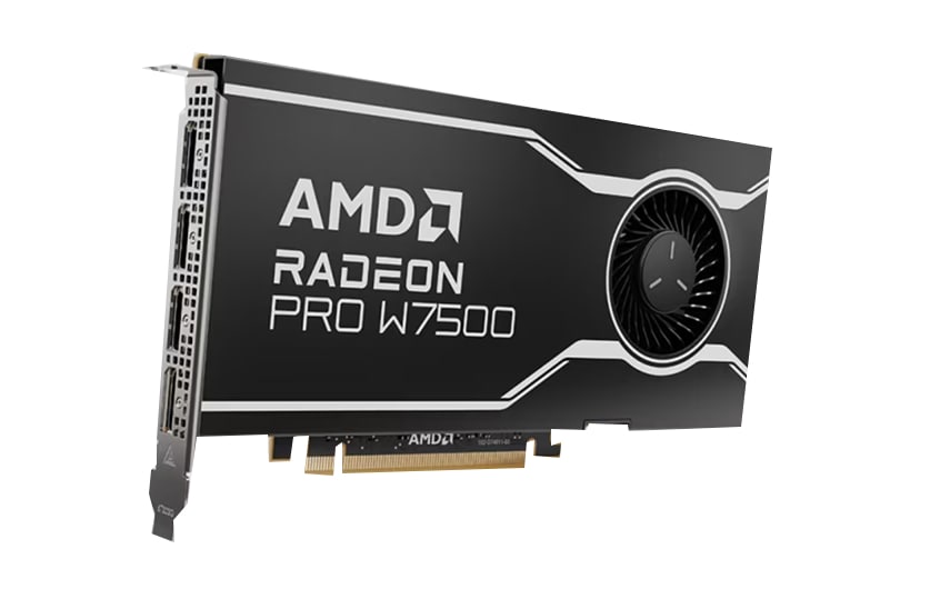 AMD Radeon PRO W7500 Professional Graphics Card