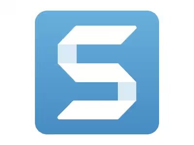 Snagit 2024 - license + 1 Year Maintenance - 1 user