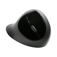 Kensington Pro Fit Ergo Wireless Mouse - mouse - 2.4 GHz, Bluetooth 4.0 LE - gray, black