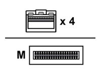 Proline 40GBase-CU direct attach cable - TAA Compliant - 3.3 ft