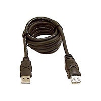 Belkin 3ft USB A/A 2.0 Extension Cable, M/F, 480Mps - USB extension cable - USB to USB - 0.9 m