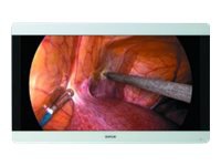 Barco MDSC-8231 12G - LED monitor - color - 31.1"